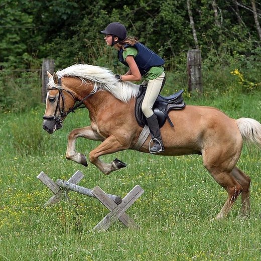 Reiten | © TVB PillerseeTal