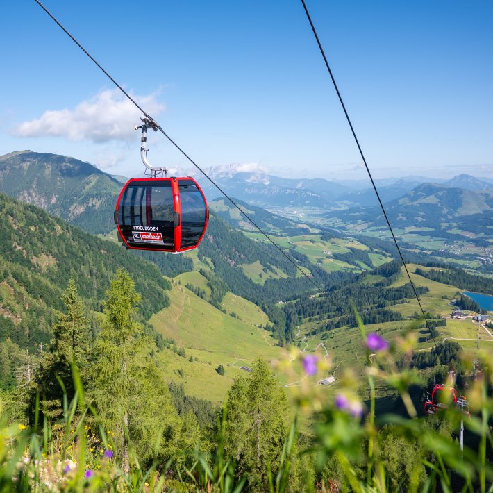 © fieberbrunn.com