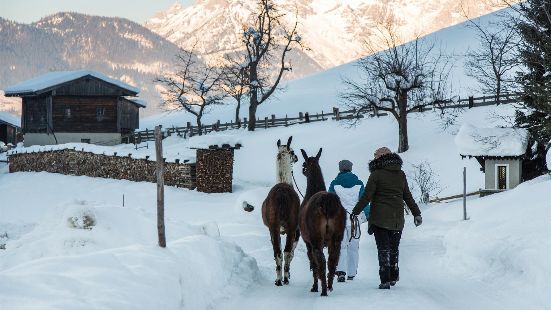 Abenteuer Lama 2 | © Sportalpen