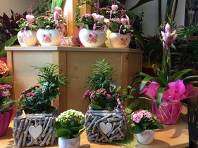 Blatt und Stiel | © Blatt & Stiel