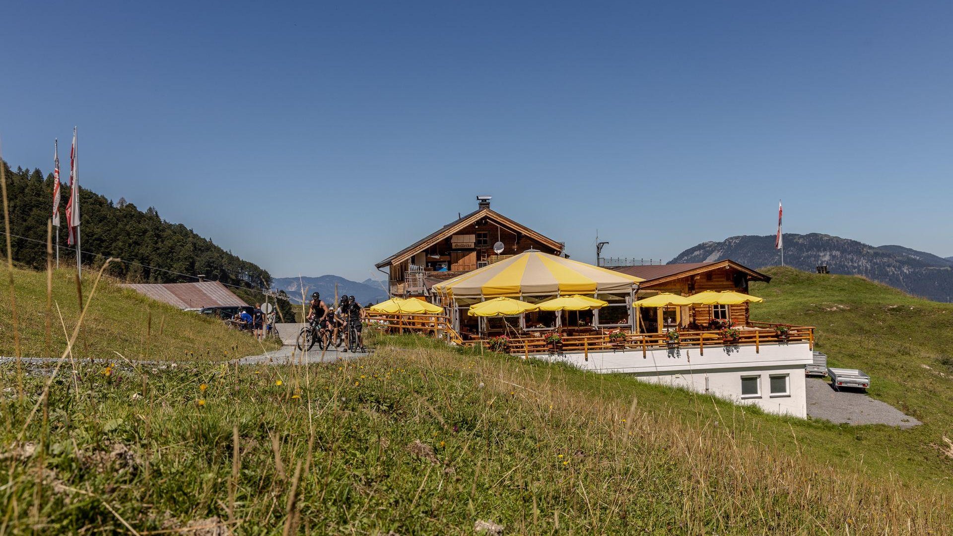 Lärchfilzhochalm Sommer (1)