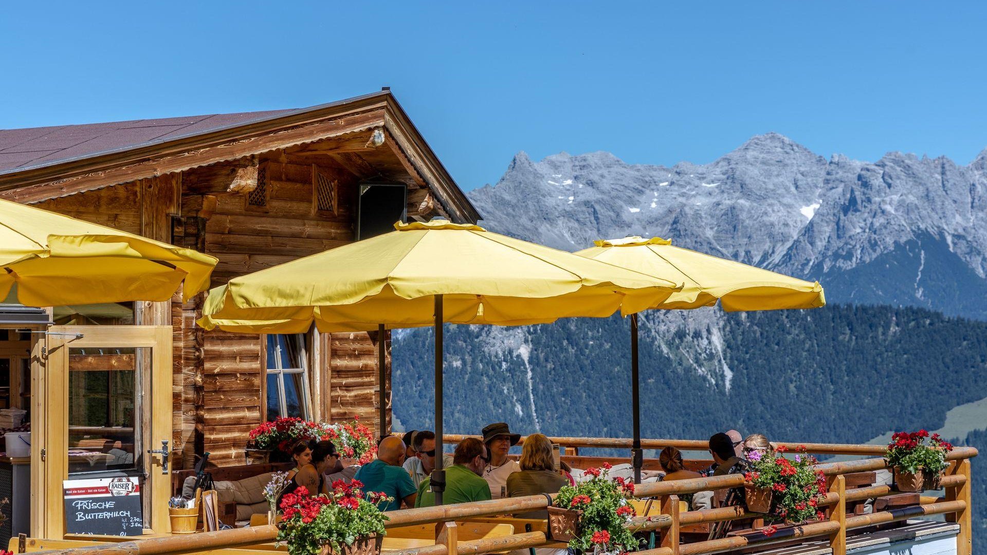 Lärchfilzhochalm Sommer (2)