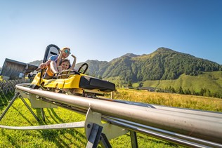 Timoks Coaster Sommer Berge