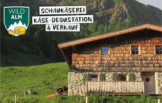 Käseladen Wildalm