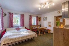 Alpen_Residenz_Fieberbrunn_Rosenegg_72_Appartement