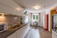 Alpen_Residenz_Fieberbrunn_Rosenegg_72_Appartement