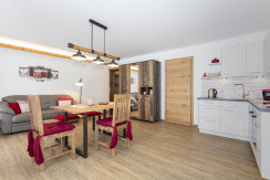 steinplatte-ferienwohnung-waidring