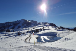 Steinplatte Waidring