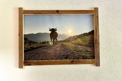 C1DB9D63-E07D-4D51-A918-507207EFD3E8