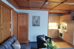 Chalet Tirol Waidring