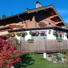 Grabner Anna Hintergrund Parte