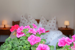 FerienwohnungHeisslfewoKaiser (6)