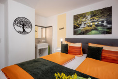 2- Bettzimmer mit Schlafsofe und Bergblick