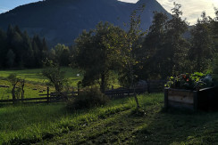 IMG_20220906_181038_Original