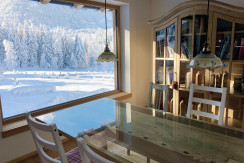 Winter vom Esszimmer aus