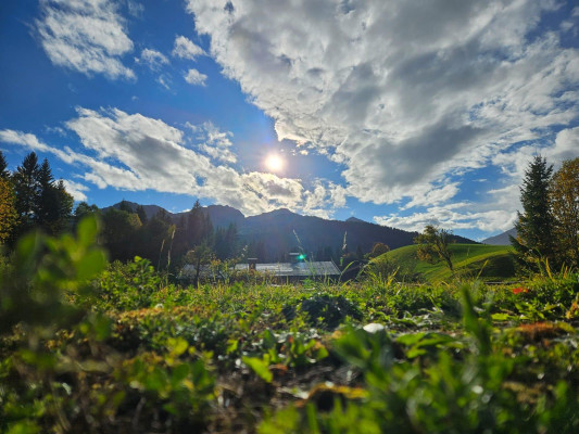 Sun over the mountains