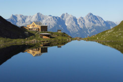 Wildseeloder Sommer (c) Toni Niederwieser (6)