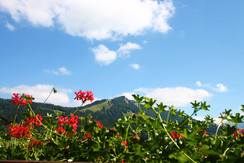 Ausblick auf die Buchensteinwand