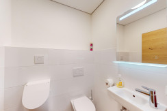 Ferienwohnung-Hinterholzer Schafberg WC Tirol Öste