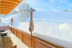 20190120_095604_HDR_aufgehellt_zugeschnitten_Shift