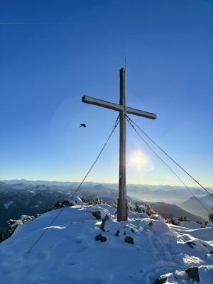 Gipfelkreuz Steinplatte