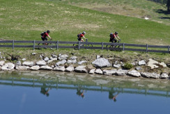 Bike Steinplatte (2)