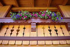 Wohnung 5 Balkon mit Blumenpracht