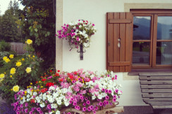 IMG_20230716_104438_342