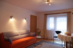 Living/bedroom apartment with 2 bathrooms