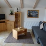 Photo of Apartment, shower and bath, toilet, 1 bed room