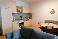 IMG_20230128_143001_copy_1024x1024