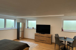 Wohnbereich Souterrain-Apartment (im Untergeschoss