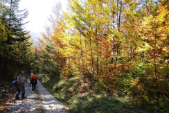 Panoramaweg im Herbst