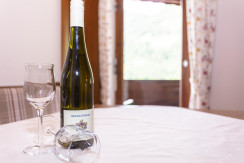 unterkunft-stjacobinhaus-ferienwohnung-6073