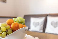 bauerhof-unterkunft-ferienwohnung-4054