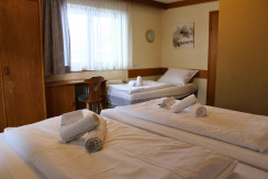 09. Catered chalet Sonnwend (Fieberbrunn) - Driepe