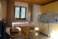 Wohnküche mit Essplatz