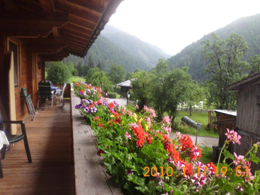Ausblick vom Balkon