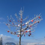 Bild von Doppelzimmer mit Dusche/WC